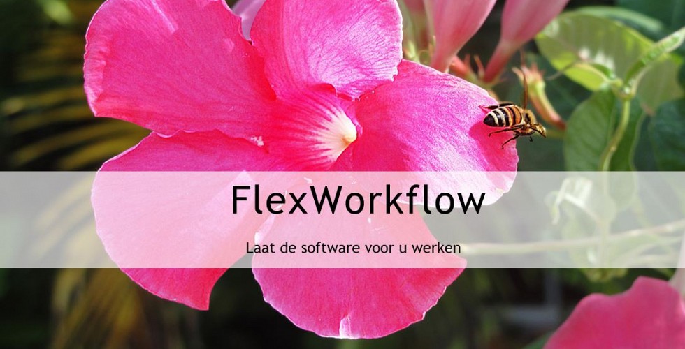 Bedrijfsgegevens Bedrijfsgegevens