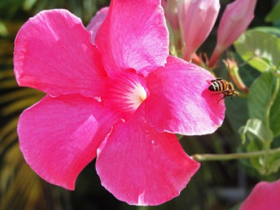 Bedrijfsgegevens en Contact Bedrijfsgegevens en Contact