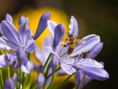 Over FlexWorkflow Over FlexWorkflow